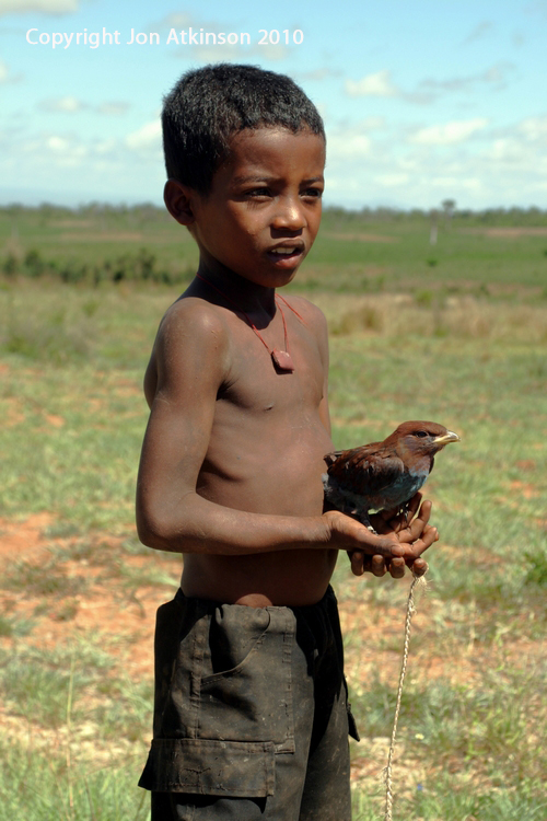 Madagascan boy with 'Pet' Lilac-breasted Roller
